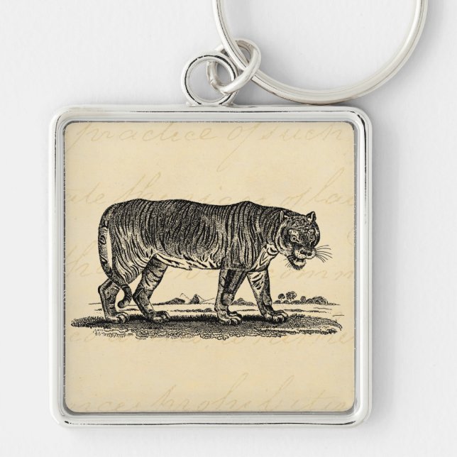 Llavero Ilustracion del tigre del vintage - tigres 1800's (Frente)