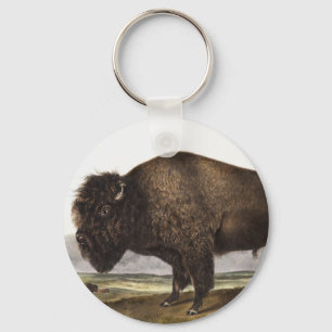 Llavero Ilustracion estadounidense Bison (Bos Americanus)