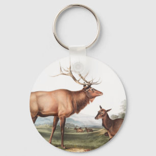 Llavero Ilustracion Estadounidense de Elk (Cervus Canadens