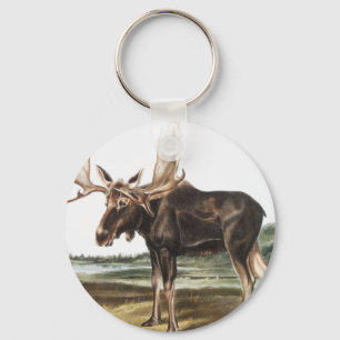 Llavero Ilustracion Moose Deer (Servus alces)