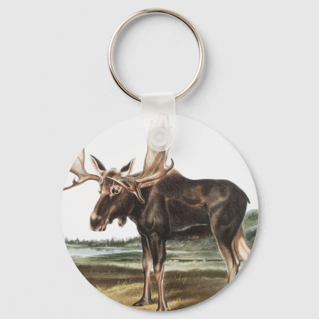 Llavero Ilustracion Moose Deer (Servus alces) (Anverso)