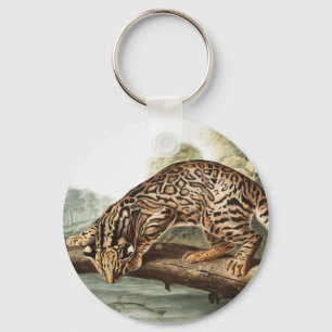 Llavero Ilustracion Ocelot, Leopard Cat (Felis pardalis)