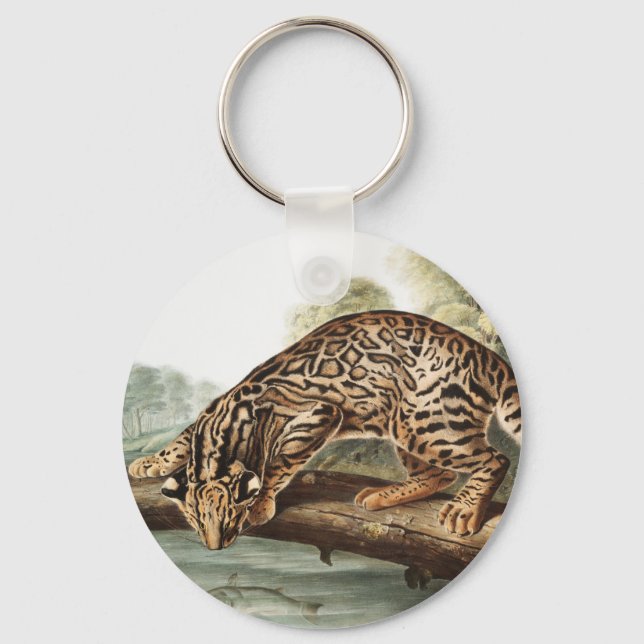 Llavero Ilustracion Ocelot, Leopard Cat (Felis pardalis) (Anverso)
