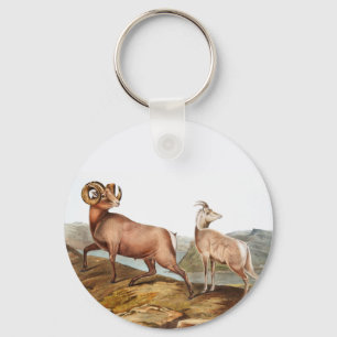 Llavero Ilustracion Ovis montana