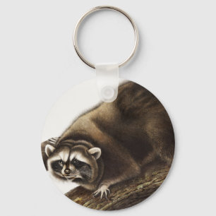 Llavero Ilustracion Raccoon (Procyon lotor)