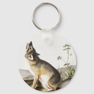 Llavero Ilustracion Swift Fox (Vulpes velox)