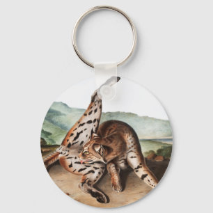 Llavero Ilustracion Texan Lynx (Lynx rufus var maculatus)