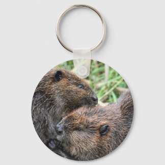 Llavero Imagen de Beavers Grooming