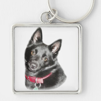 Llavero Imagen de Schipperke