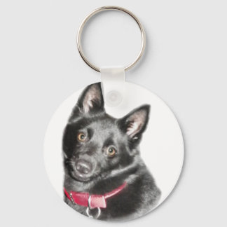 Llavero Imagen de Schipperke