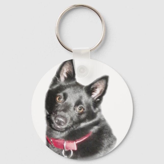 Llavero Imagen de Schipperke (Anverso)