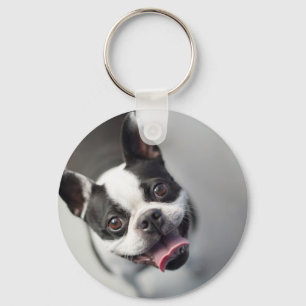 Llavero Imágenes de Getty   Bulldog francés