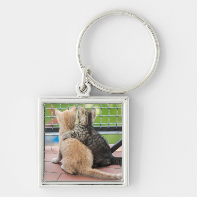 Llavero Imágenes de Getty el | dos gatitos en un balcón (Frente)