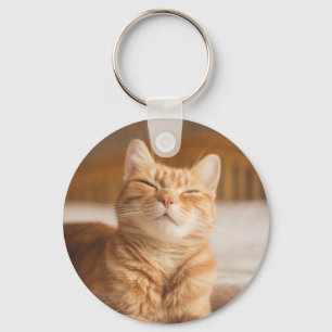 Llavero Imágenes de Getty   Gato somnoliento