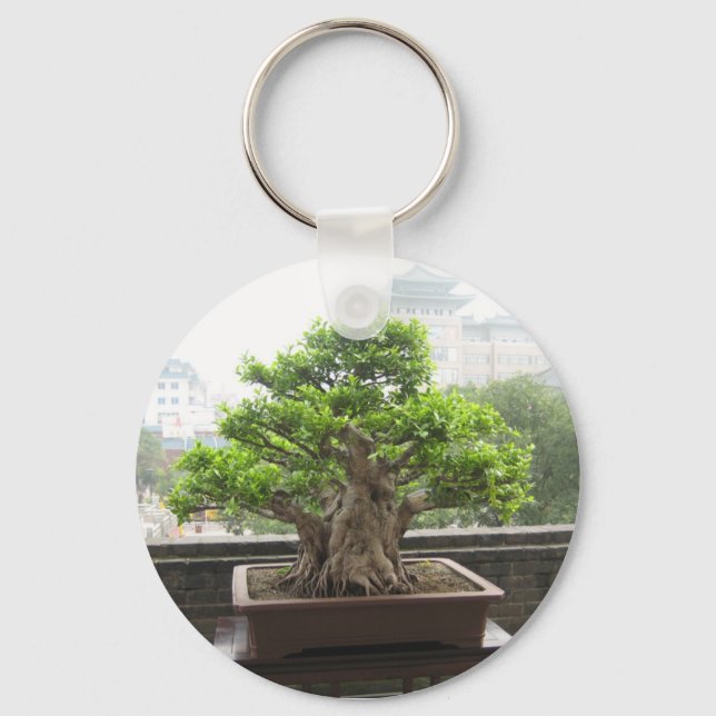 LLAVERO IMG_2887 (Anverso)