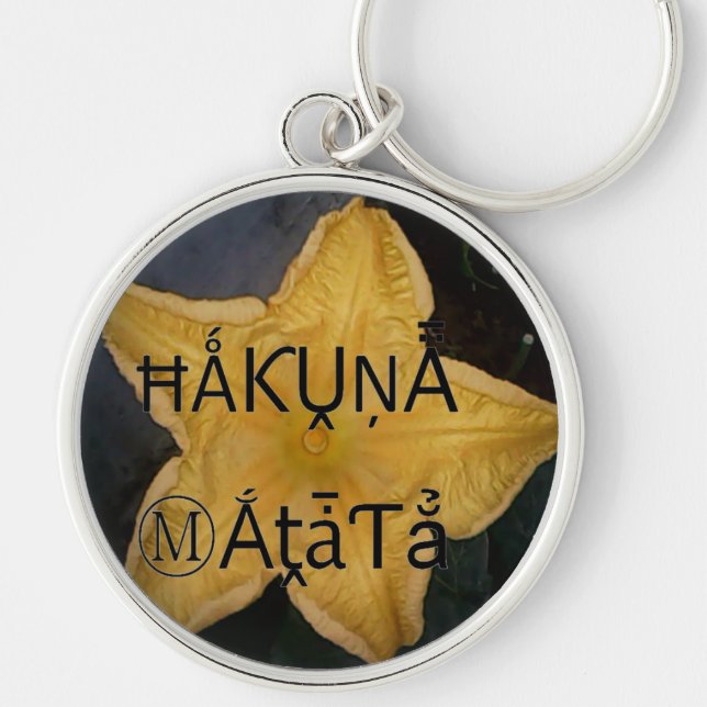 Llavero Impresión artística de la estrella dorada Hakuna M (Frente)