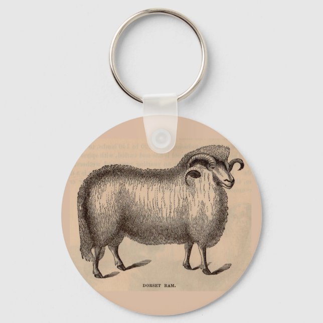 Llavero Impresión Dorset ram del siglo XIX (Anverso)