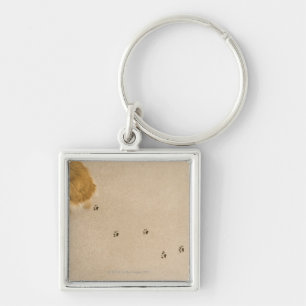 Llavero Impresiones del perro en la alfombra