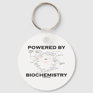 Llavero Impulsado Por Bioquímica (Ciclo Krebs)