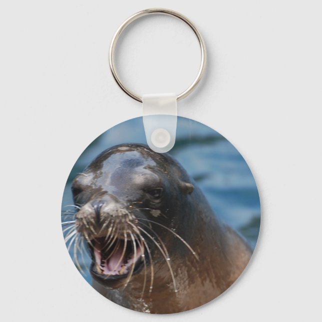 Llavero indefinido (Anverso)