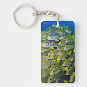 Llavero Indonesia. Peces en cardumen