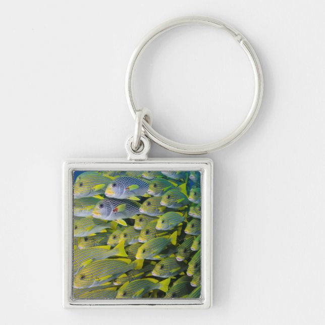 Llavero Indonesia. Peces en cardumen (Frente)