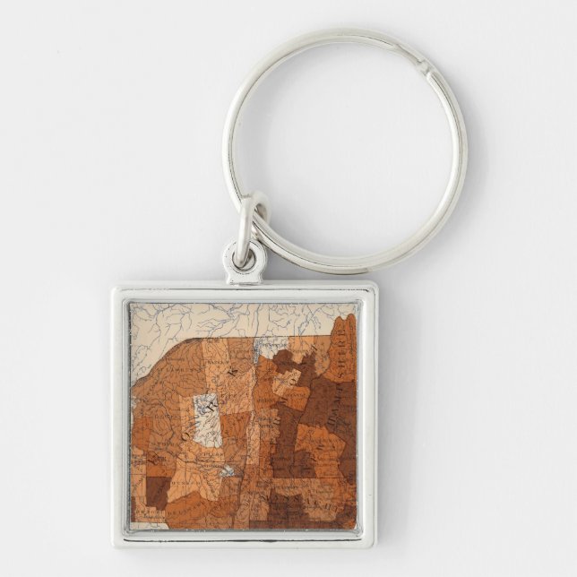 Llavero Influenza NY, NJ, Nueva Inglaterra (Frente)