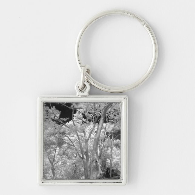 Llavero Infrarrojo de árboles edificios y senderos en Las  (Frente)