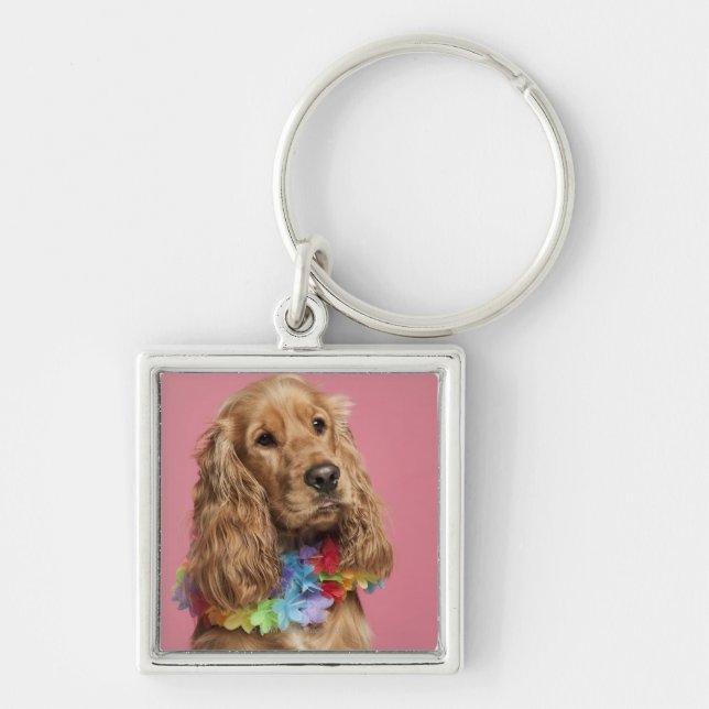 Llavero Inglés cocker spaniel (10 meses) (Frente)