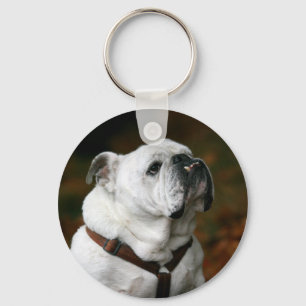 Llavero inglés del bulldog