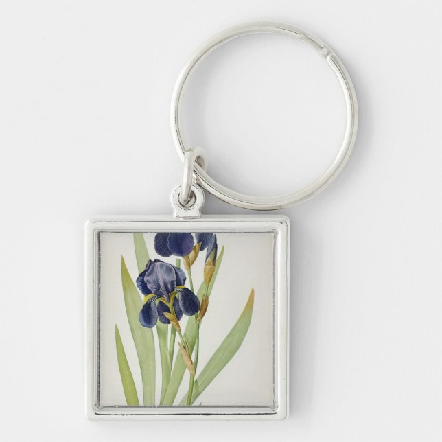 Llavero Iris Germanica, de "Les Liliacees", 1805 (Frente)