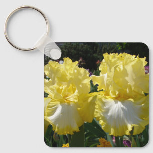 Llavero Iris irlandeses con barba amarilla Flores Poster f
