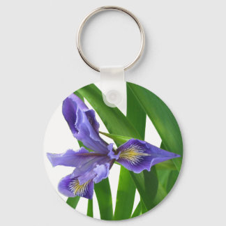 Llavero Iris Keychain