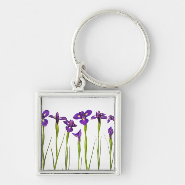 Llavero Iris púrpuras - plantilla modificada para (Frente)