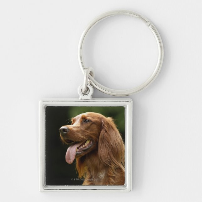Llavero Irish Setter 2 (Frente)