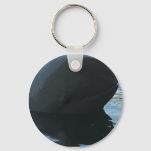 Llavero Irrawaddy Dolphin Peek-A-Boo