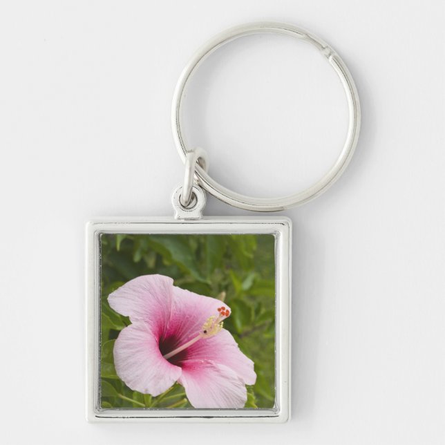 Llavero Islas Cook, Atiu. Flor de hibisco. (Frente)