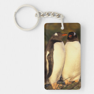 Llavero Islas Malvinas. Pingüinos de Gentoo. (Pyroscelis