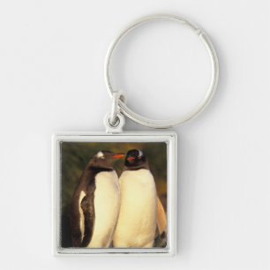 Llavero Islas Malvinas. Pingüinos de Gentoo. (Pyroscelis