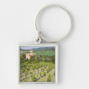 Llavero Italia, Bolonia, Vista a través de viñedo a Chiesa