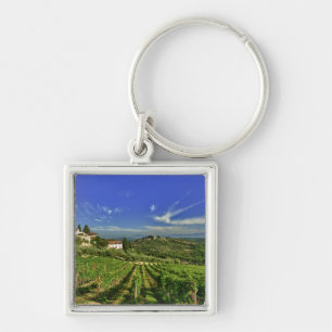 Llavero Italia, Toscana, Huelga. Los viñedos de Castello