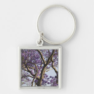 Llavero Jacaranda Trees florecientes en New Farm Park,