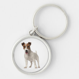 Llavero Jack Russell Terrier Perro Cachorro Blanco Y Marr