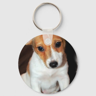Llavero Jack Russell Terrier Puppy Dog Keychain