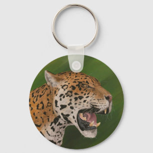 Llavero Jaguar