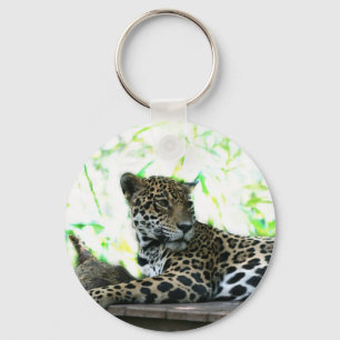 Llavero Jaguar que mira sobre verde dappled hombro