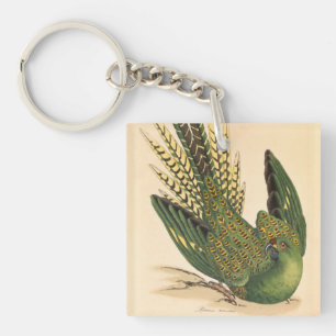 Llavero James Sowerby Ground Parrot, Psittacus terrestres