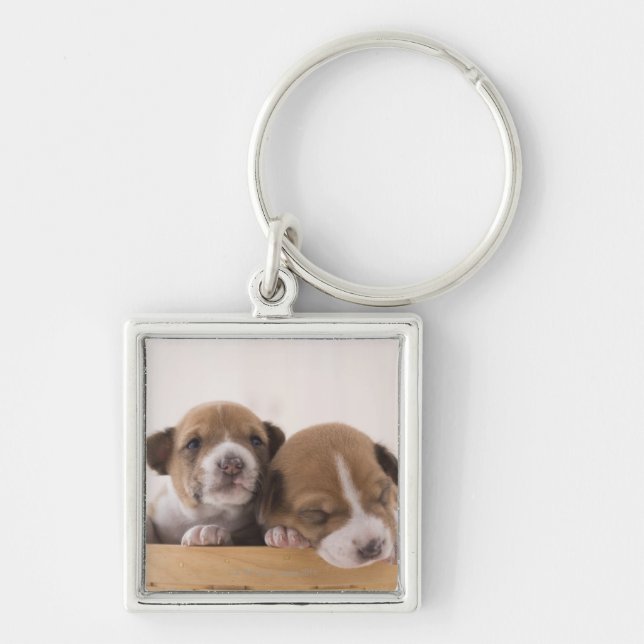 Llavero Japón (Frente)