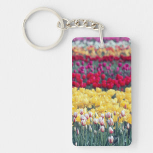 Llavero jardín de tulipanes en el valle de Skagit,