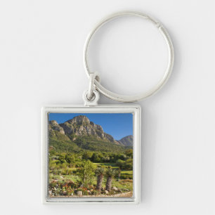 Llavero Jardines botánicos de Kirstenbosch, Ciudad del Ca